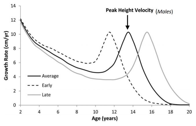 A graph showing the peak height velocity of males